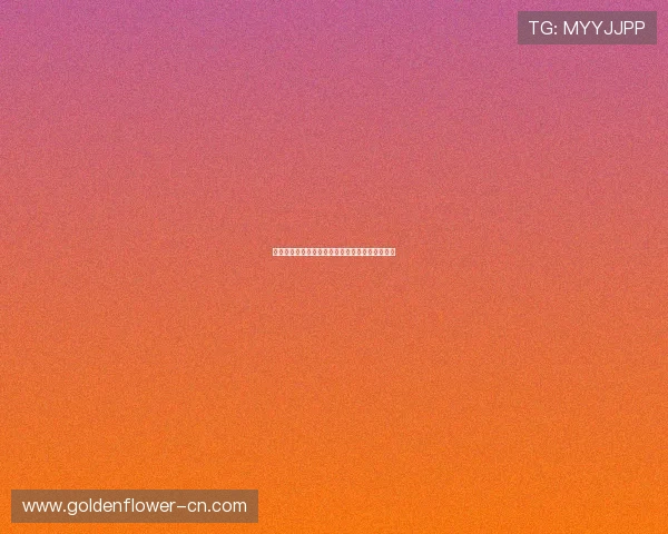 山东体育频道:助力全民健身打造运动文化新高地 山东体育频道:助力全民健身打造运动文化新高地